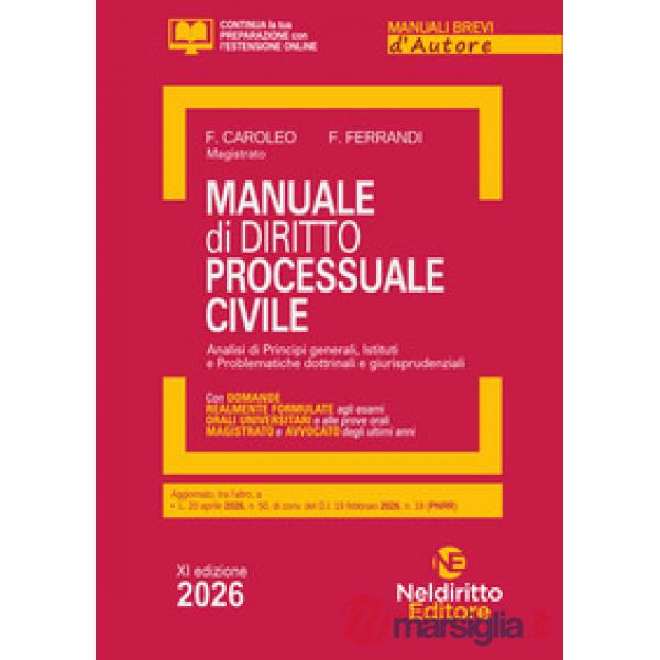 Manuale breve di diritto processuale civile 2026. Manuale per esame orale avvocato, concorsi pubblici e università