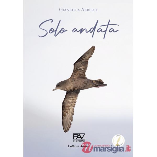 Solo andata