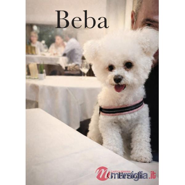 Beba