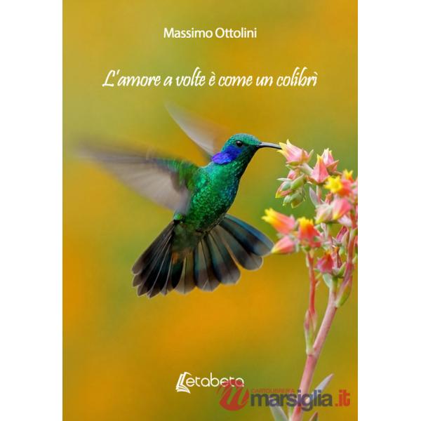 Amore a volte è come un colibrì (L')