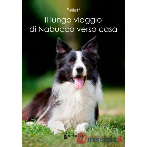 Lungo viaggio di Nabucco verso casa (Il)
