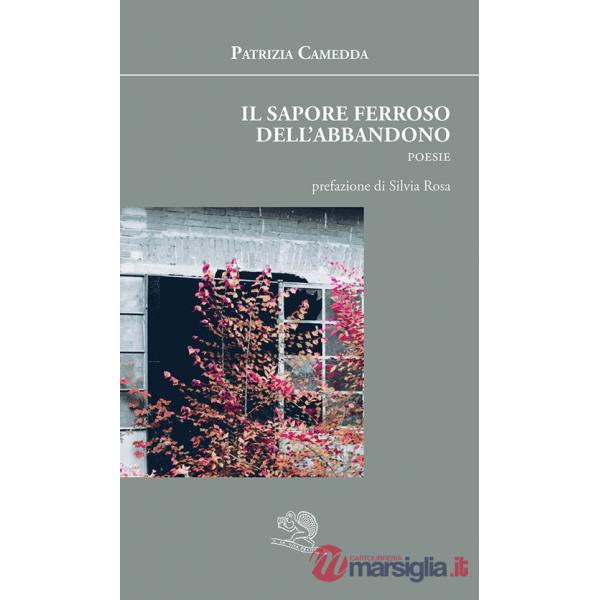 Sapore ferroso dell'abbandono. Ediz. illustrata (Il)