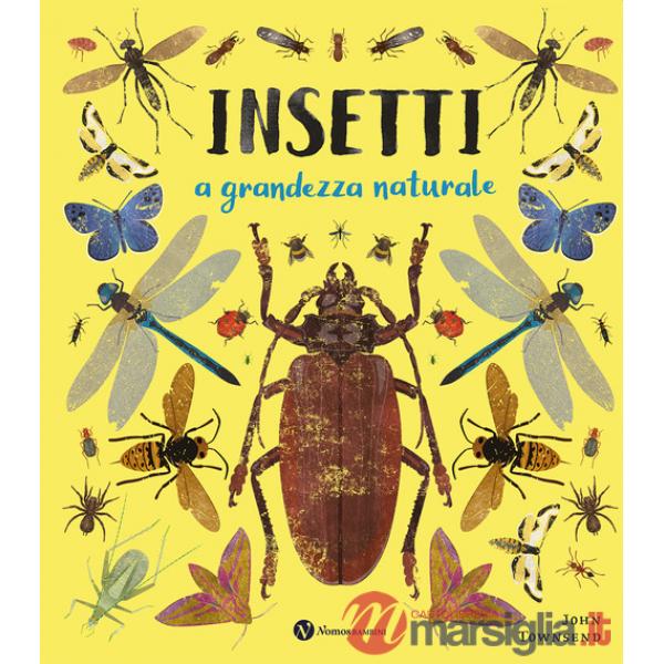 Insetti. A grandezza naturale. Ediz. a colori