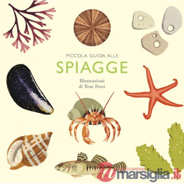 Piccola guida alle spiagge