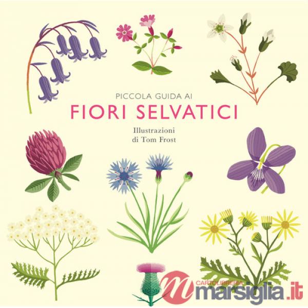 Piccola guida ai fiori selvatici