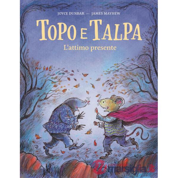 Topo e Talpa. L'attimo presente. Ediz. a colori