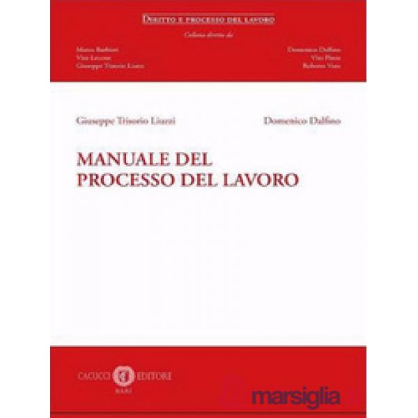 Manuale del processo del lavoro