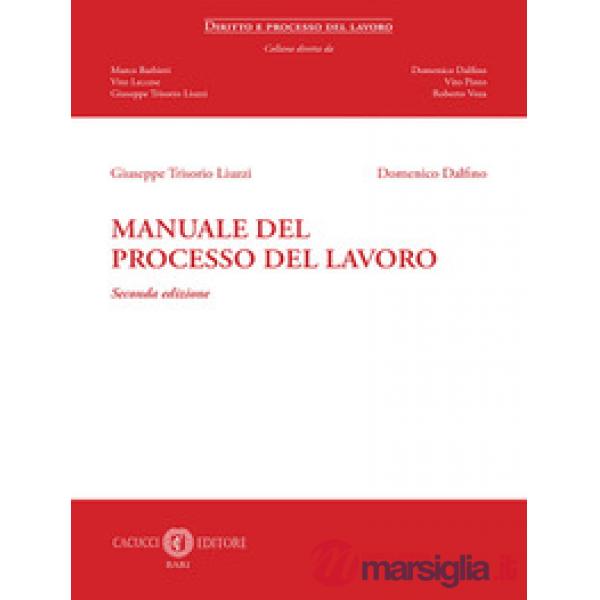 Manuale del processo del lavoro