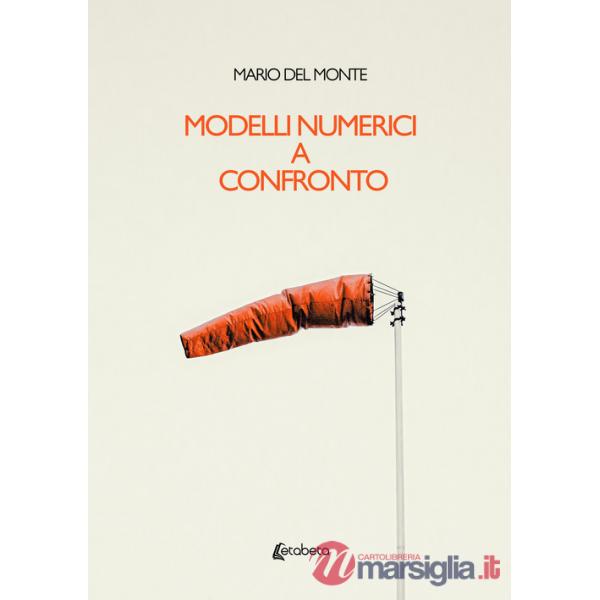 Modelli numerici a confronto
