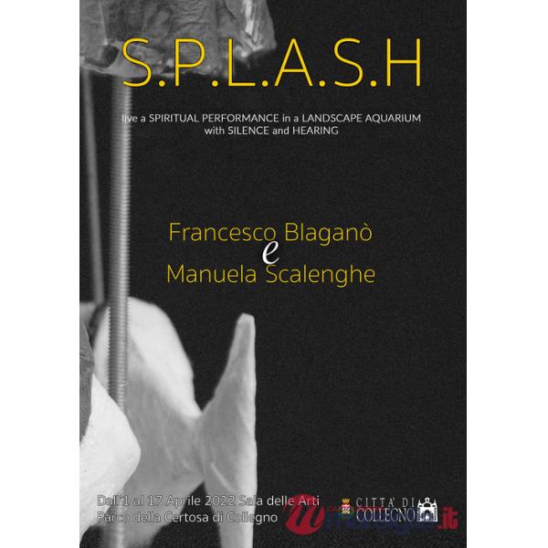 S.P.L.A.S.H.. Live a spiritual performance in a landscape aquarium with silence and hearing