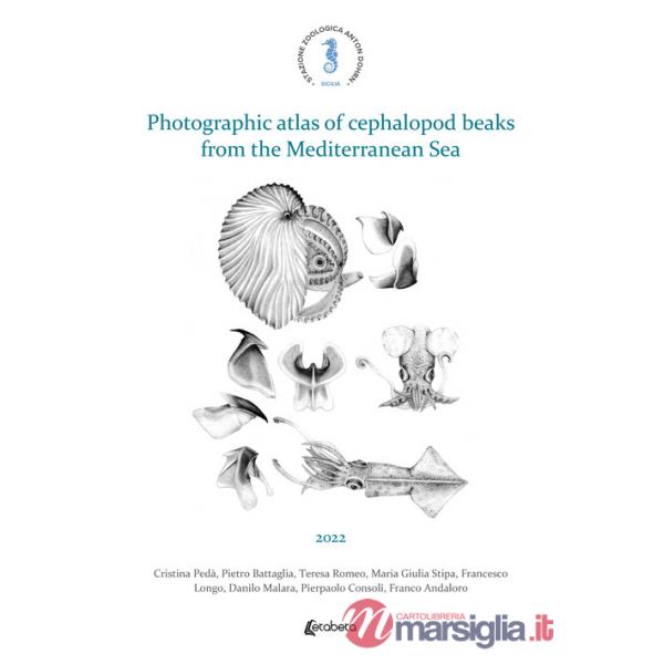 Photographic atlas of cephalopod beaks from the Mediterranean Sea
