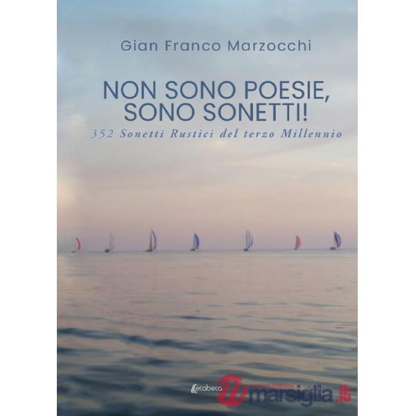 Non sono poesie, sono sonetti!. 352 Sonetti rustici del terzo millennio