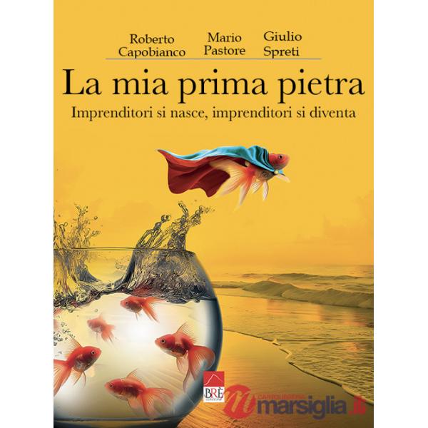 Mia prima pietra. Imprenditori si nasce, imprenditori si diventa (La)