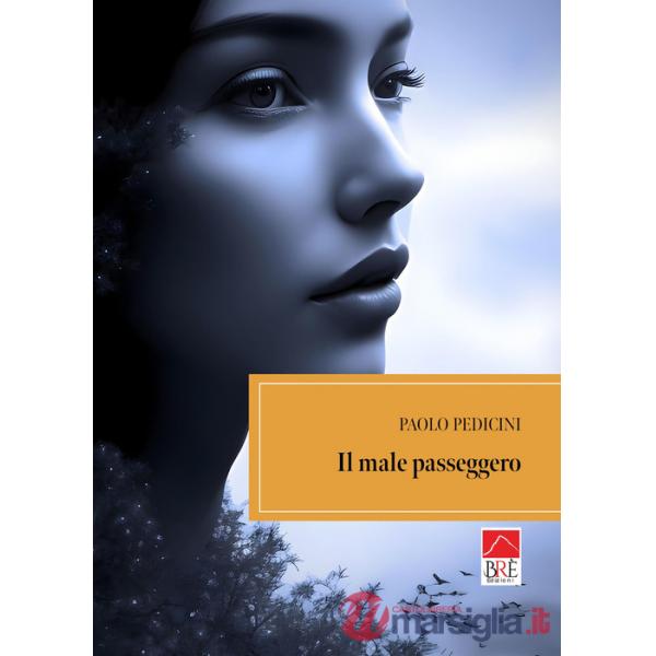 Male passeggero (Il)