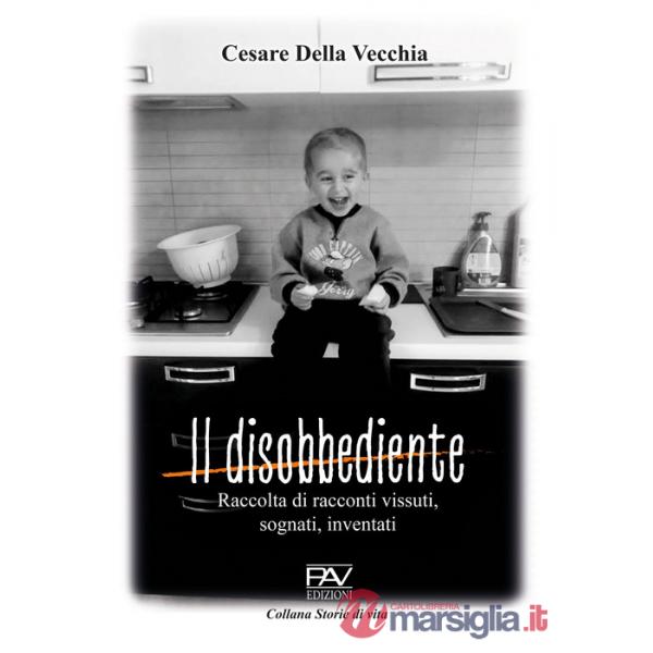 Disobbediente. Raccolta di racconti vissuti, sognati, inventati (Il)