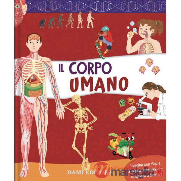 Corpo umano. Ediz. a colori (Il)