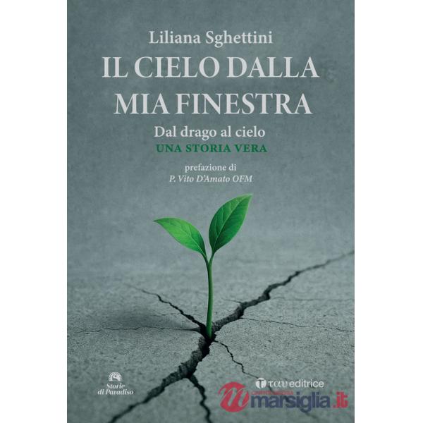 Cielo dalla mia finestra (Il)