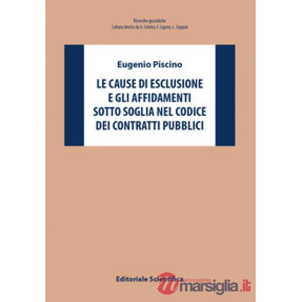 Le cause di esclusione e gli affidamenti sotto soglia nel Codice dei contratti pubblici