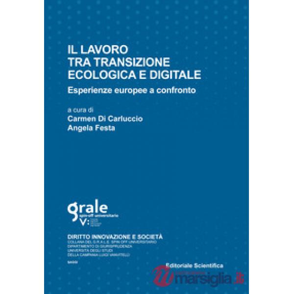 Il lavoro tra transizione ecologica e digitale. Esperienze europee a confronto. Ediz. multilingue