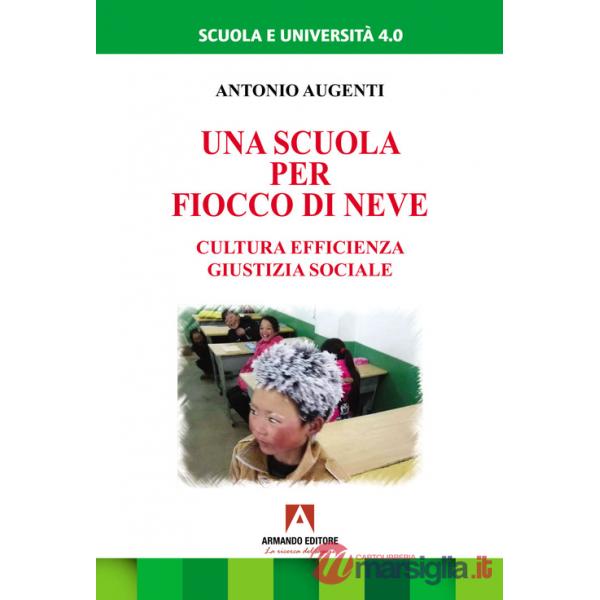 Scuola per Fiocco di neve. Cultura efficienza giustizia sociale (Una)