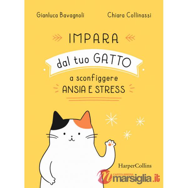 Impara dal tuo gatto a sconfiggere ansia e stress