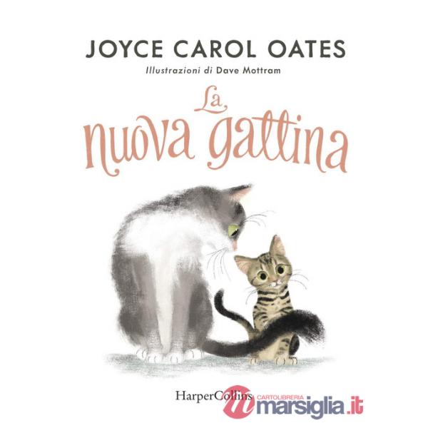Nuova gattina. Ediz. illustrata (La)
