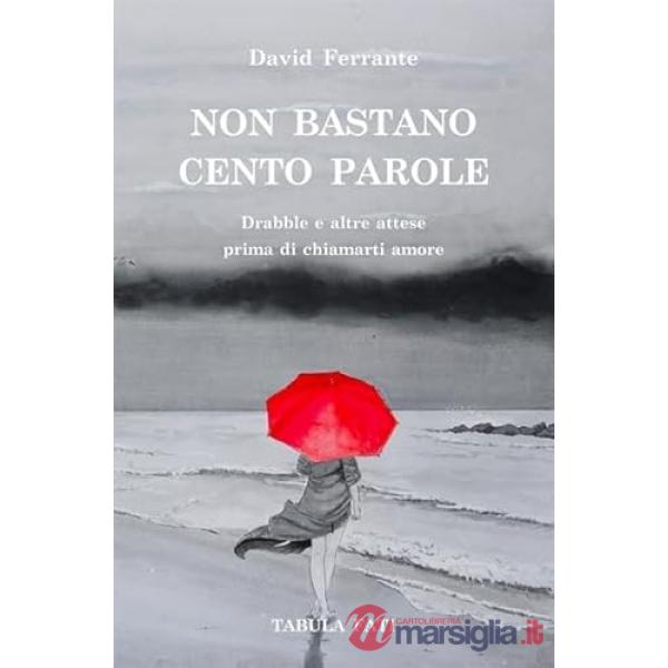 Non bastano cento parole. Drabble e altre attese prima di chiamarti amore