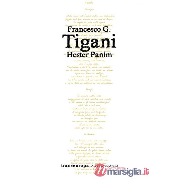 Hester Panim