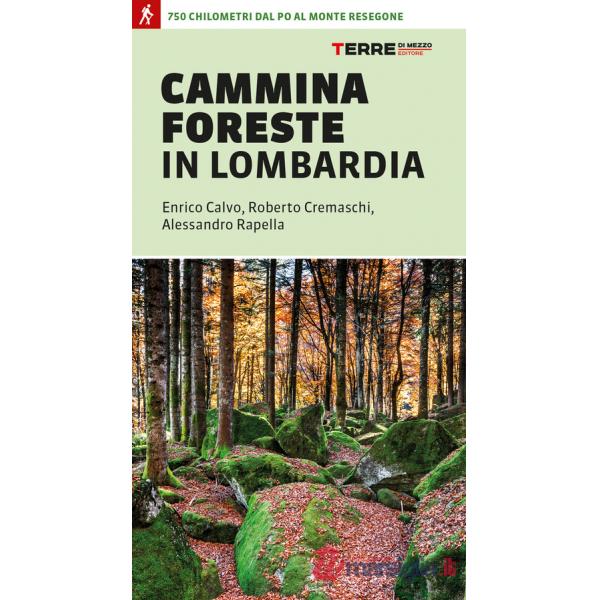 CamminaForeste in Lombardia 750 chilometri dal Po al monte Resegone