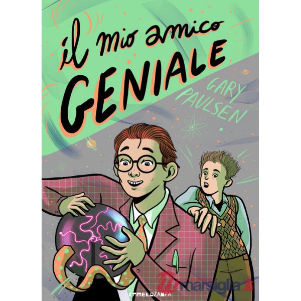 Mio amico geniale (Il)