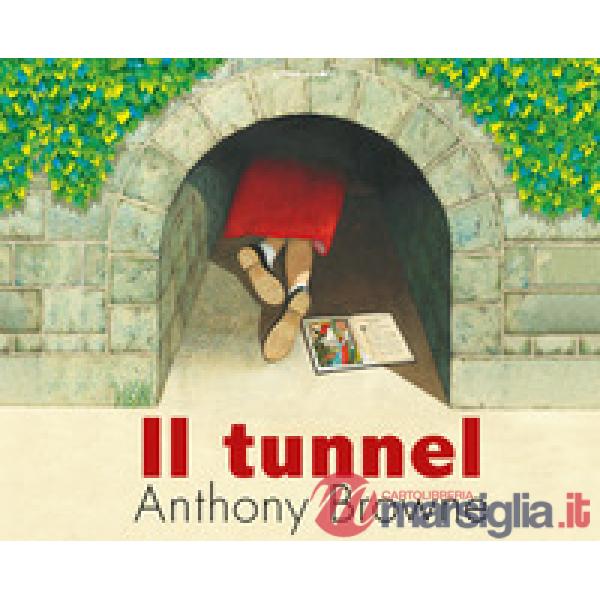 Tunnel. Ediz. a colori (Il)