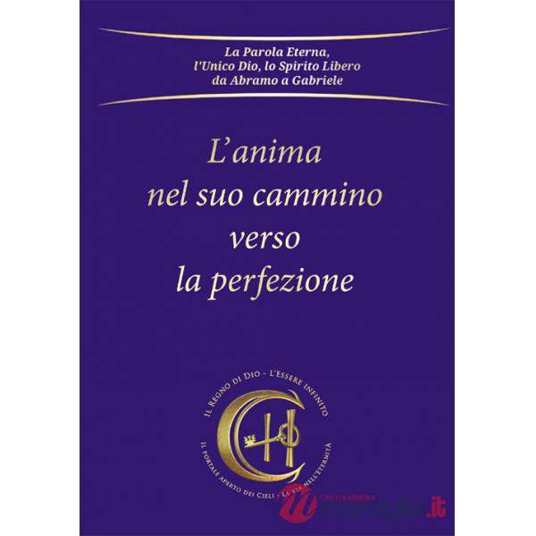 Anima nel suo cammino verso la perfezione (L')