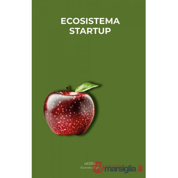 Ecosistema Startup