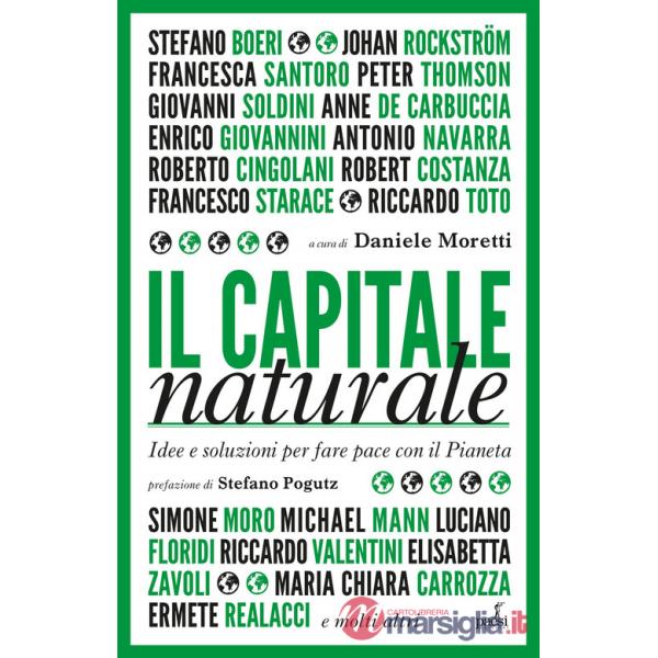 Capitale naturale. Idee e soluzioni per fare pace con il Pianeta (Il)