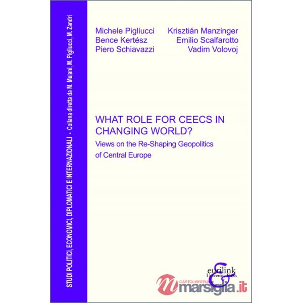 What role for CEECs in changing world? Views on the re-shaping geopolitics of Central Europe