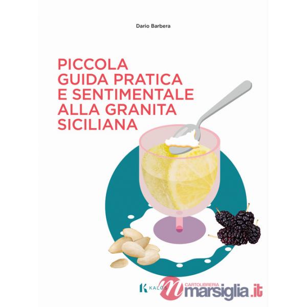 Piccola guida pratica e sentimentale alla granita siciliana