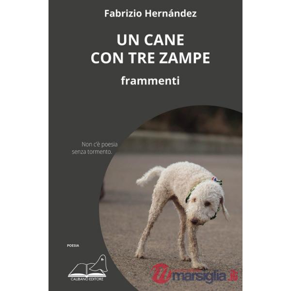 Cane con tre zampe. Frammenti (Un)