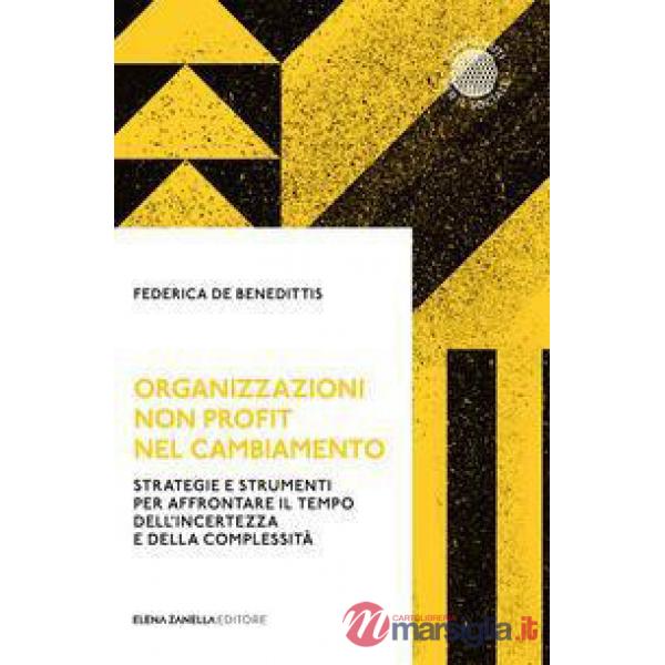 Organizzazioni non profit nel cambiamento. Strategie e strumenti per affrontare il tempo dell'incertezza e della complessità