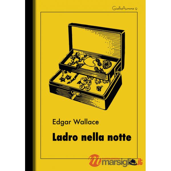 Ladro nella notte