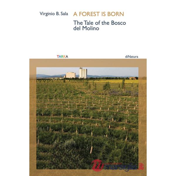 Forest is born. The tale of the Bosco del Molino (A)