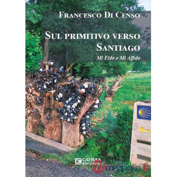 Sul primitivo verso Santiago