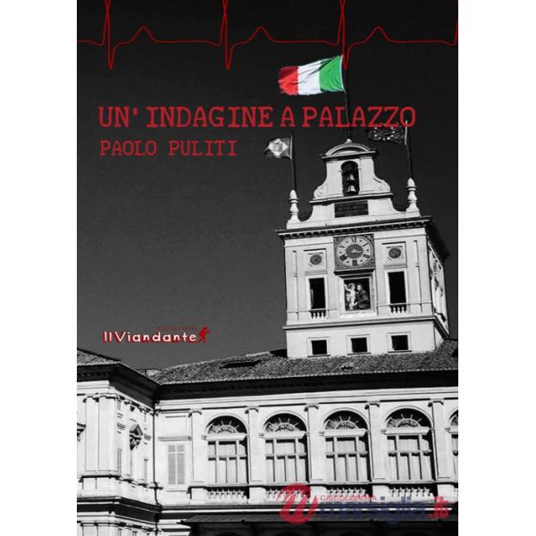 Indagine a palazzo (Un')