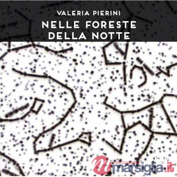 Nelle foreste della notte. Ediz. a colori