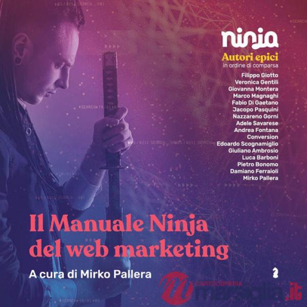 Manuale ninja del web marketing (Il)