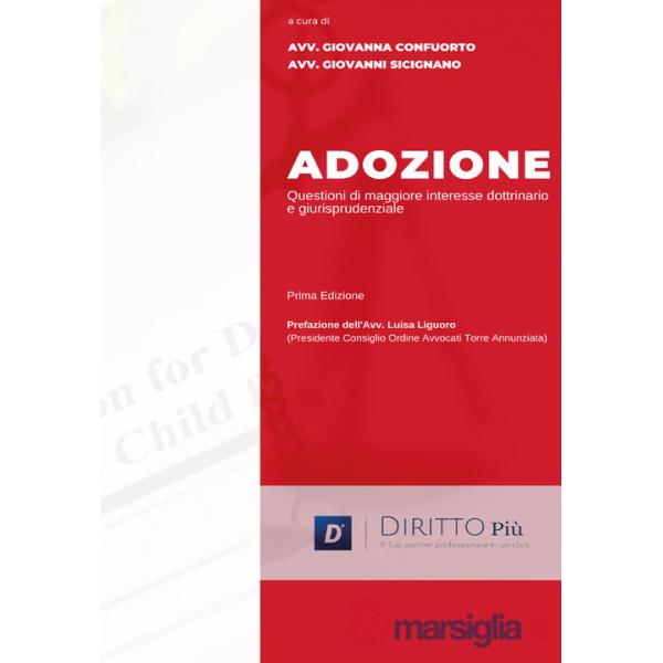 Adozione. Questioni di maggiore interesse dottrinario e giurisprudenziale