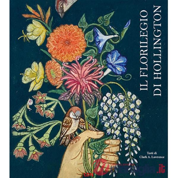 Florilegio di Hollington (Il)
