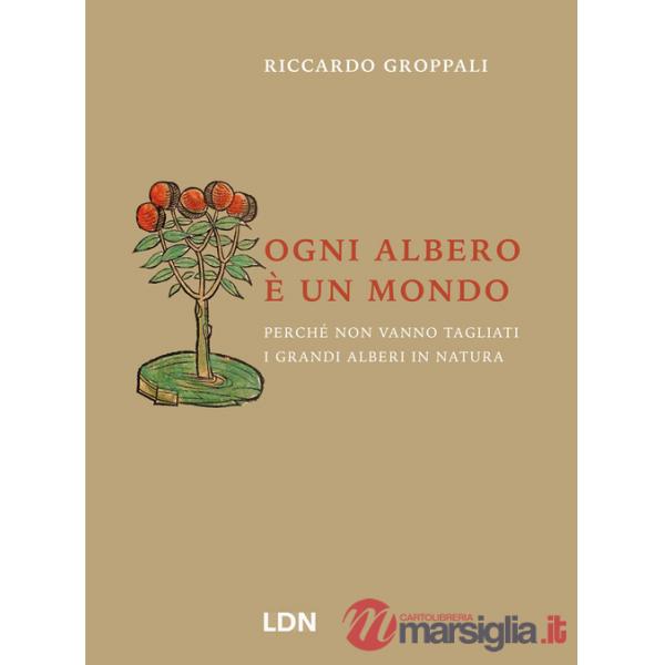 Ogni albero è un mondo. Perché non vanno tagliati i grandi alberi in natura