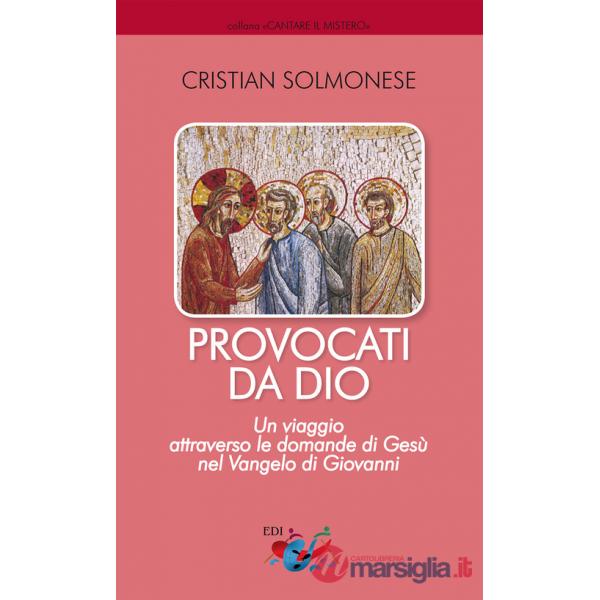 Provocati da Dio. Un viaggio attraverso le domande di Gesù nel Vangelo di Giovanni