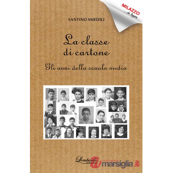 Classe di cartone. Gli anni della scuola media (La)