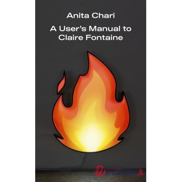 A User's Manual to Claire Fontaine
